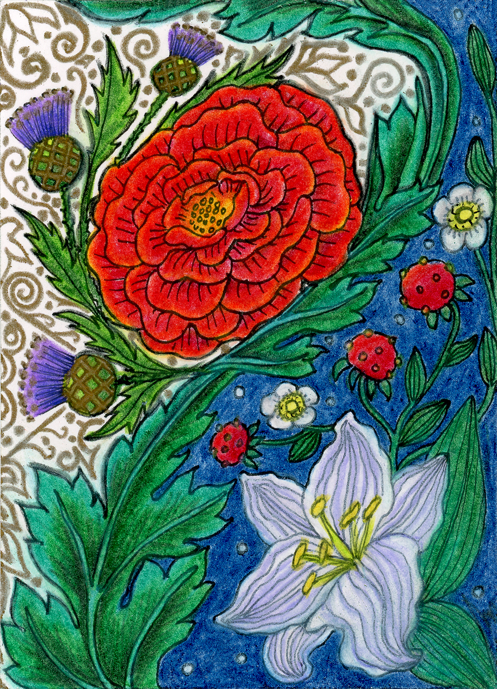 A drawing in the style of a medieval illuminated manuscript, showing a white lily in the lower right corner surrounded by strawberries and their flowers, against a starry sky, with acanthus leaves curling diagonally from the lower left corner to the upper right corner.  On the left side of the acanthus leaves is a red rose surrounded by thistles, with gold embellishments on the white background.